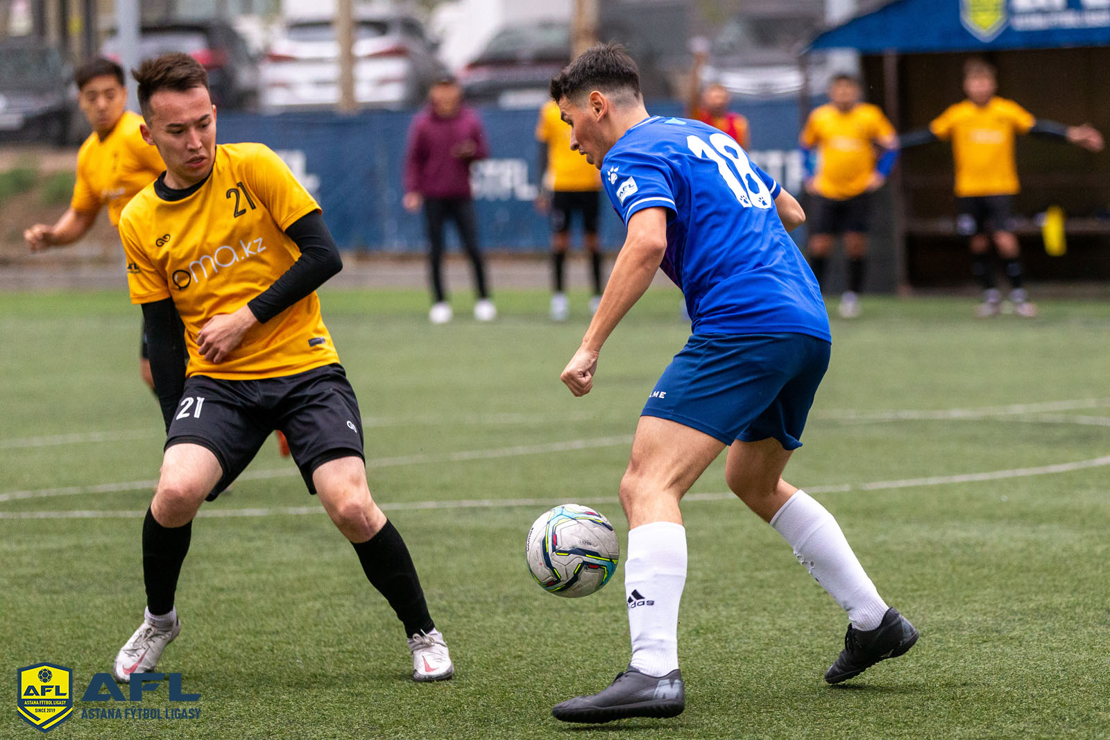 IMG 4549