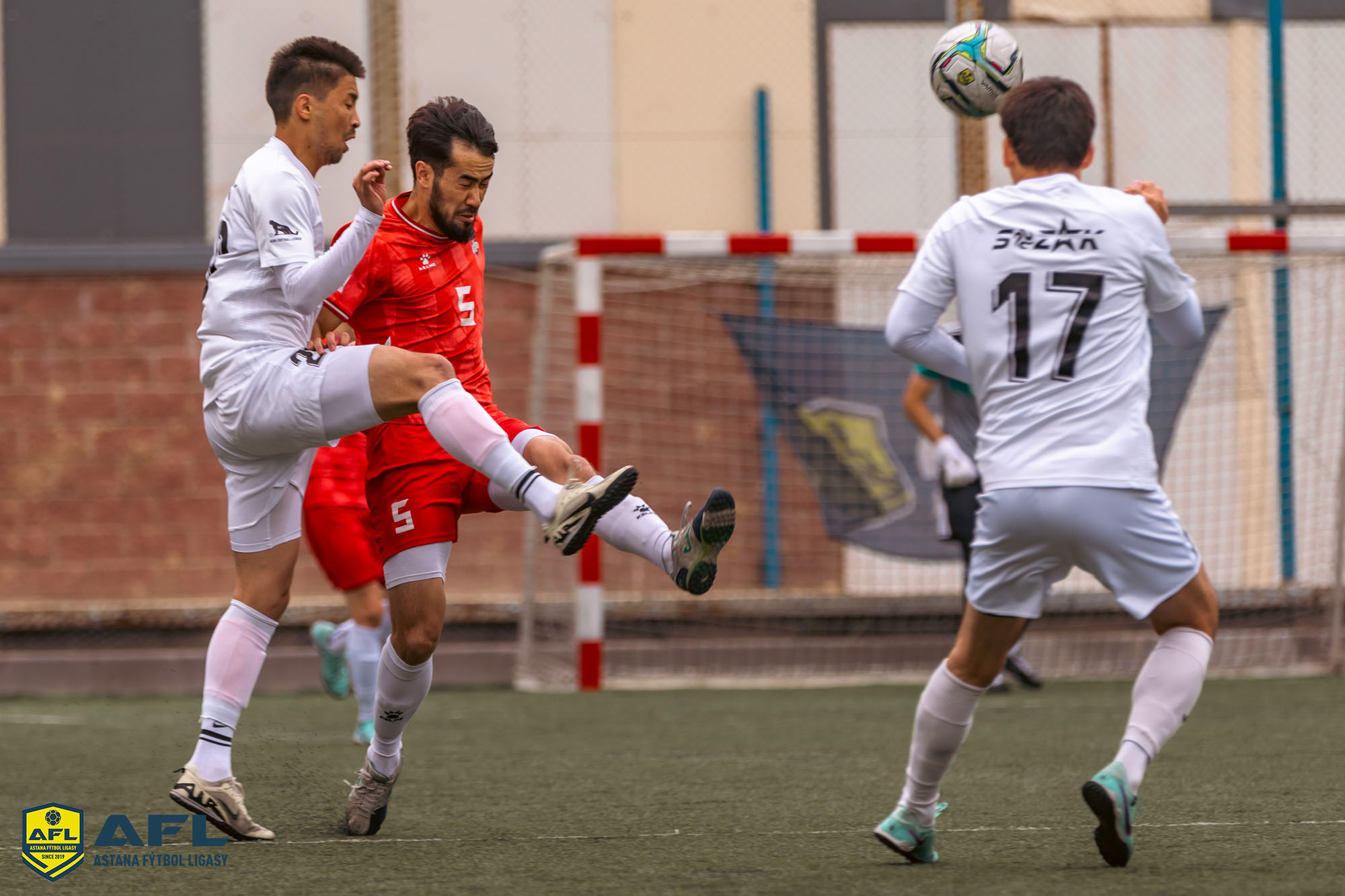 IMG 3208