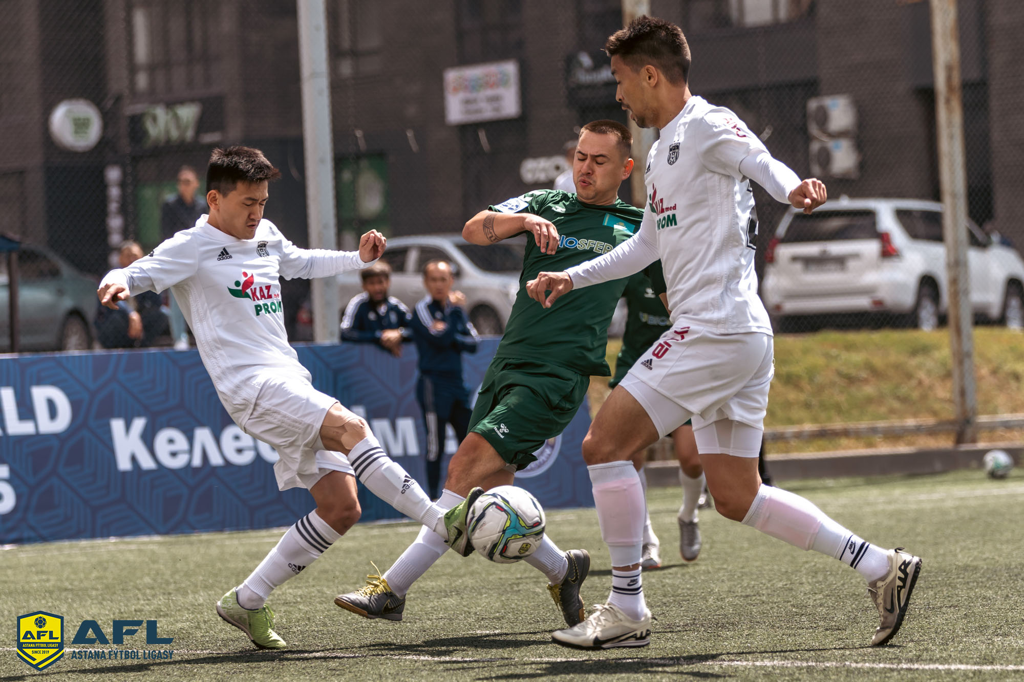 IMG 0260