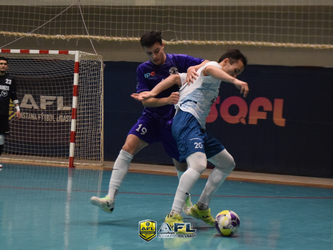 IMG 4231