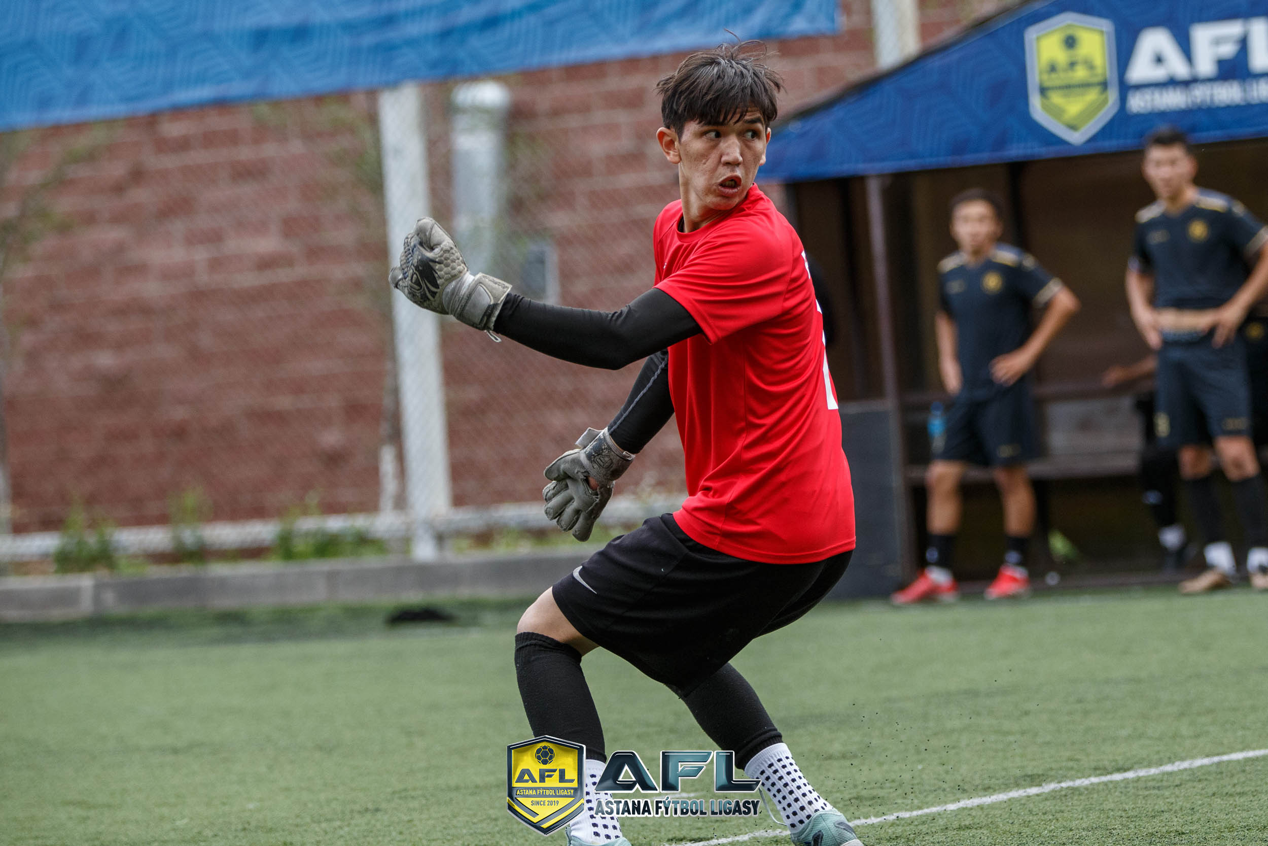 IMG 3982