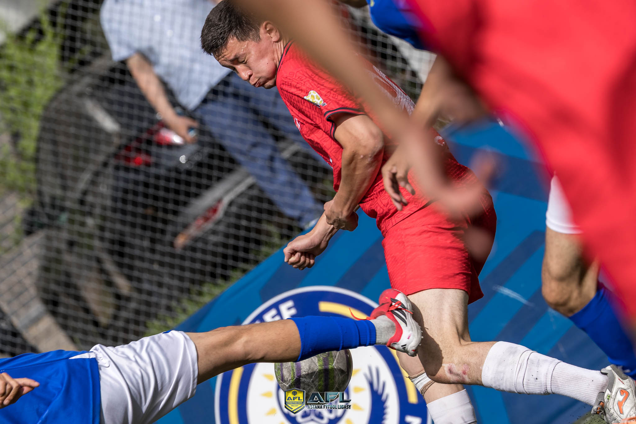 IMG 4679
