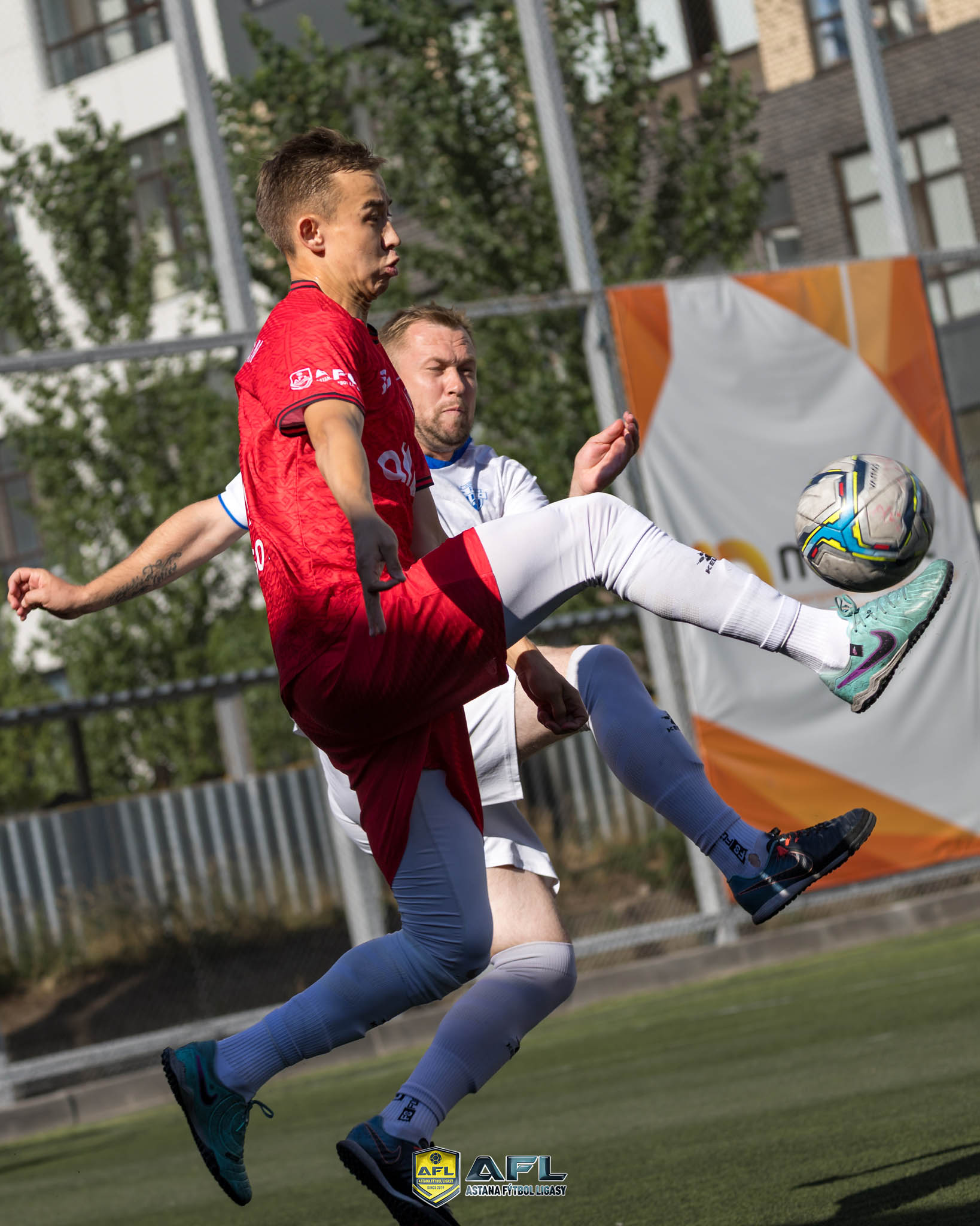 IMG 4389