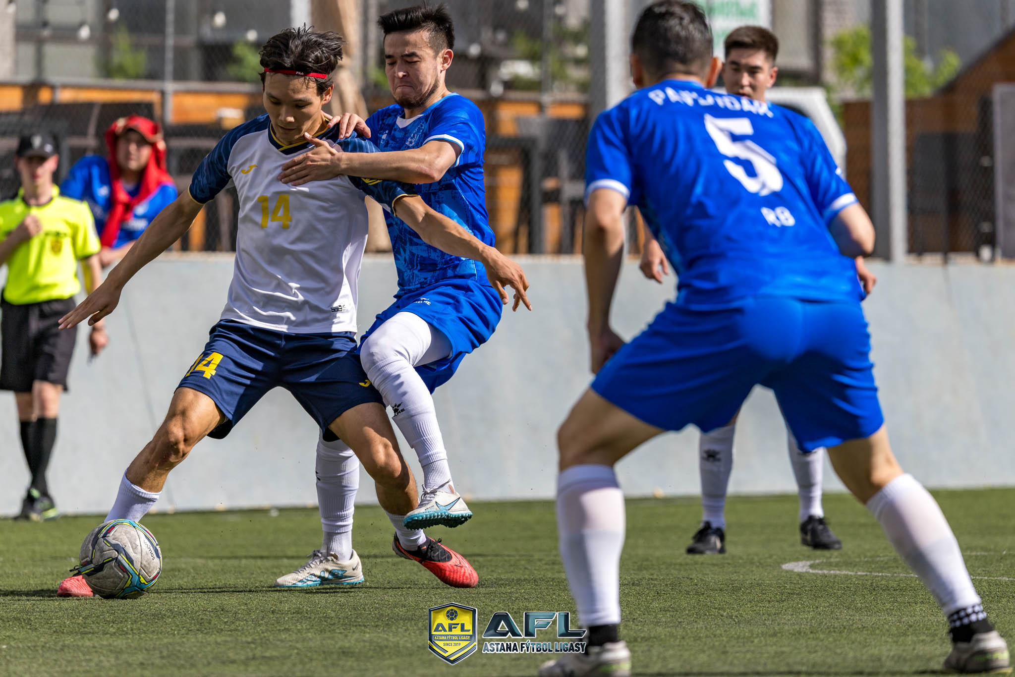 IMG 3519