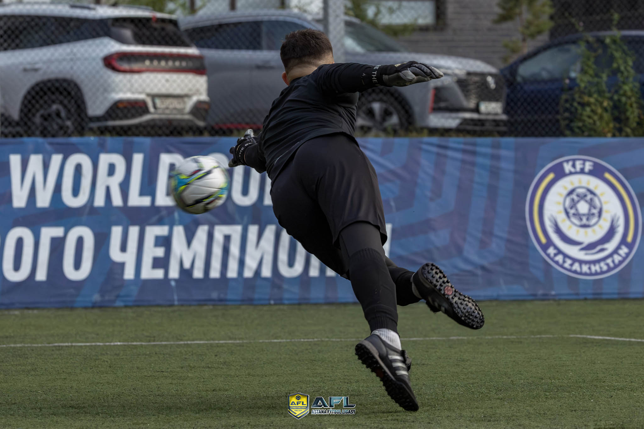 IMG 6954